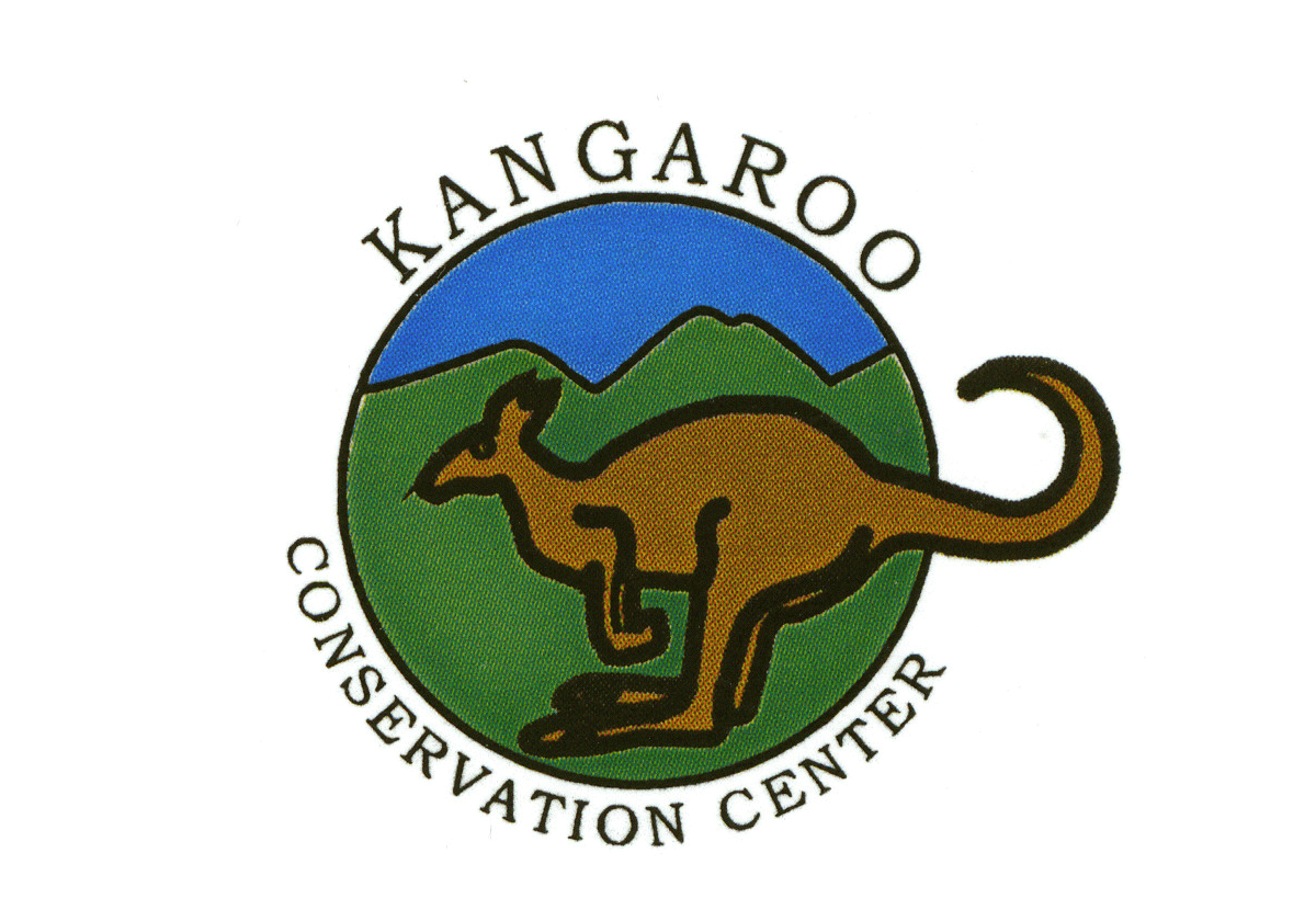 kangaroo